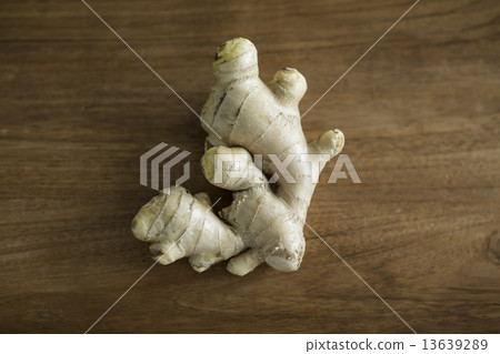 ginger ginger 13639289