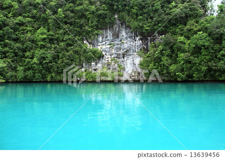 Milky way Milky way 13639456