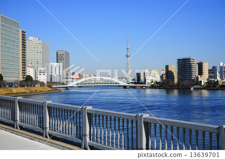 1月大廈·地標343東京天空樹和永久橋樑 1月大廈·地標343東京天空樹和永久橋樑 13639701