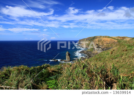 Tabusa-rock (Tomosaki) 13639914