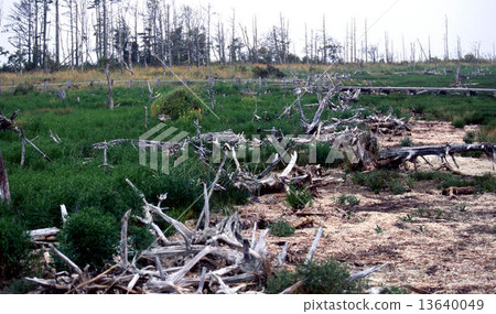 Todwara Todwara 13640049