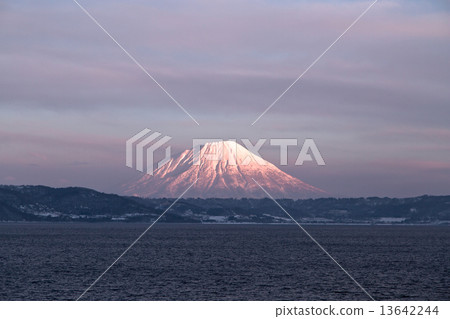 羊蹄山 13642244