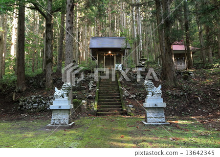 Aoki Shrine 13642345