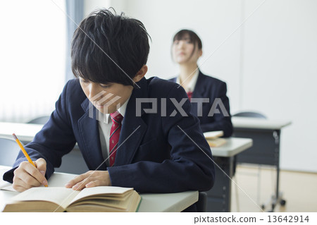 High school student / preparatory student 13642914