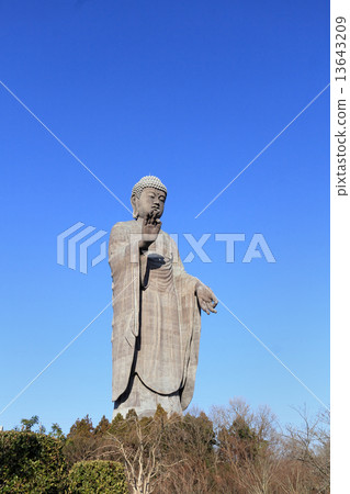 Ushiku Great Buddha 13643209