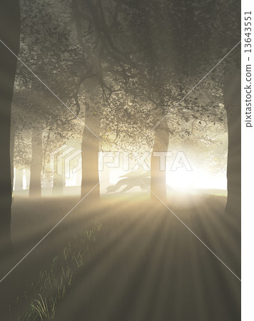 Dragon in a Misty Forest Dragon in a Misty Forest 13643551