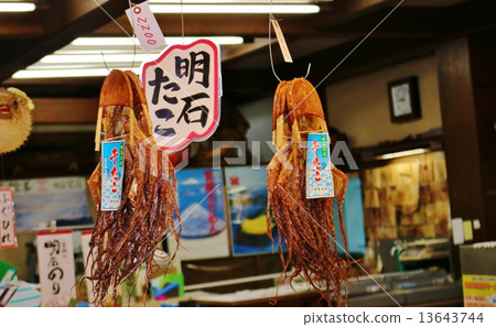 明石魚架 13643744