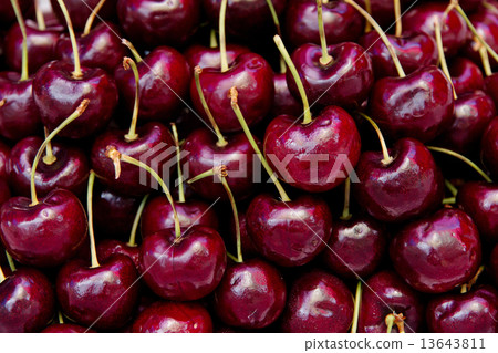 Fresh cherries Fresh cherries 13643811