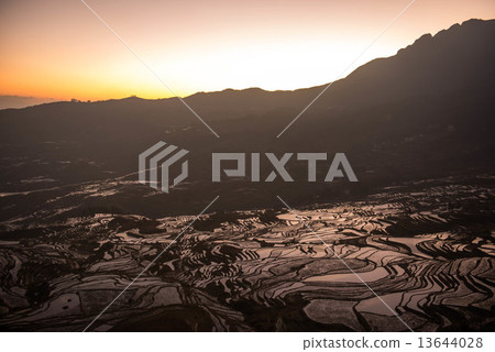 Asahi of the terraced rice fields of Yuan Yang Asahi of the terraced rice fields of Yuan Yang 13644028
