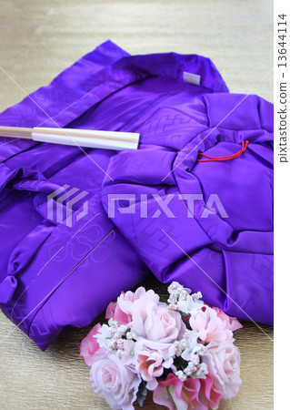 紫色Chankan 13644114