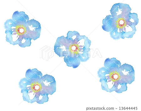 花卉樣式花紋花樣式樣式水彩春天藍色植物自然明亮的樂趣物質背景白色後面樂趣花卉織物背景例證女性典雅的romante 13644445