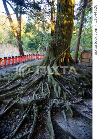 Fushimi Inari Shrine Fushimi Inari Shrine 13644626