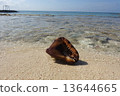 Cayman Islands 13644665