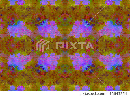 Ethnic pattern. Abstract kaleidoscope Ethnic pattern. Abstract kaleidoscope 13645254