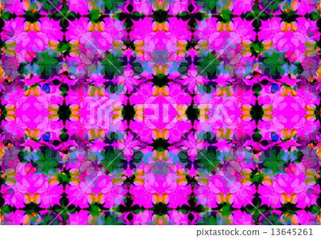Ethnic pattern. Abstract kaleidoscope Ethnic pattern. Abstract kaleidoscope 13645261