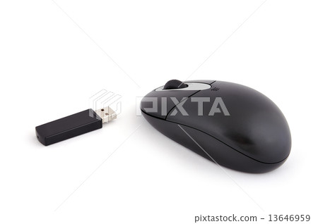 wireless mouse wireless mouse 13646959