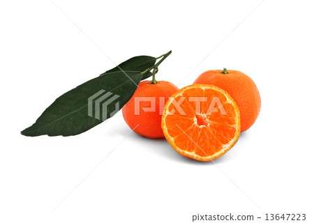tangerines tangerines 13647223