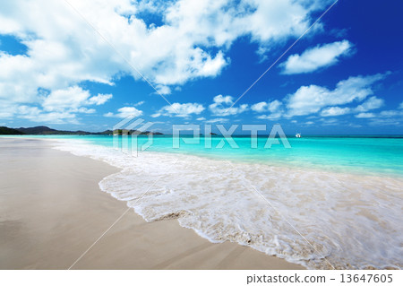 beach at Praslin island, Seychelles 13647605