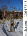 Trident column Yamabushi 13647843
