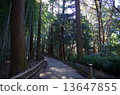森林公路 13647855