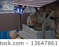 Capybara no yu 13647861