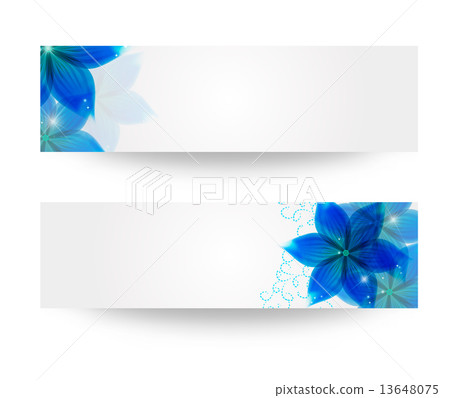 banner with flowers and leaves banner with flowers and leaves 13648075