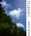 Summer blue sky and green 13648732