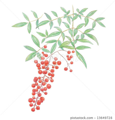 南方的天空 13649728