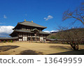 Todaiji Temple of Great Bodens 13649959