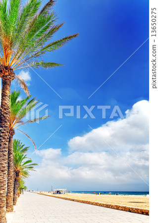Seafront, beach,coast in Spain. Suburb of Barcelona, Catalonia 13650275