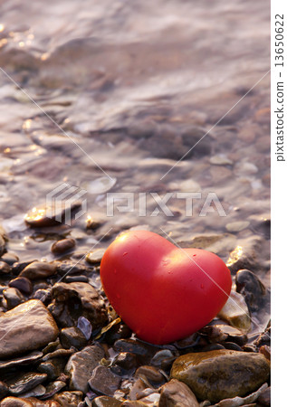 red shape heart on rock and shell beach red shape heart on rock and shell beach 13650622