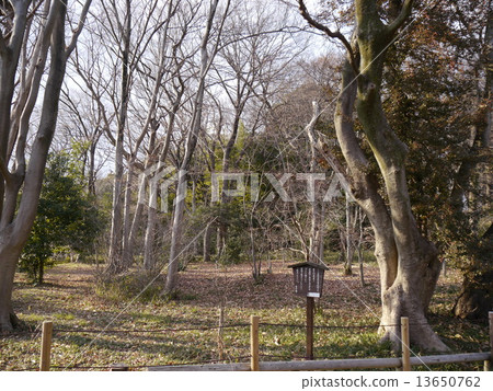 National city Shiroyama Park National city Shiroyama Park 13650762