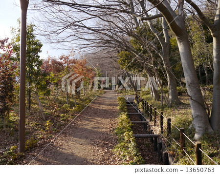 國立城市城山公園 國立城市城山公園 13650763