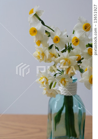 Daffodils living in bottles 13651927