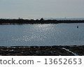 Sea	 13652653