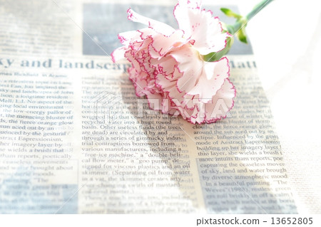 Carnation and English newspaper 13652805