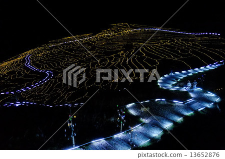 輪島白米Senjita(LED黃2) 輪島白米Senjita(LED黃2) 13652876