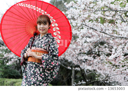 櫻桃樹春天和服 13653003