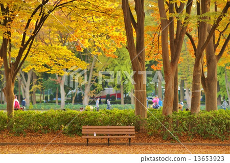 Autumn park 13653923