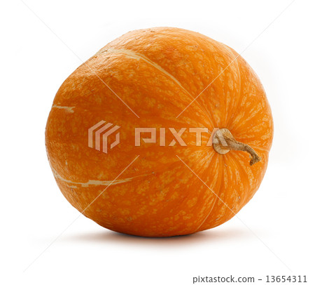 Large ripe pumpkin 13654311