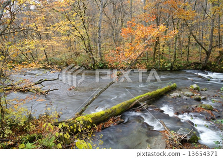 Autumn Oirase mountain stream Autumn Oirase mountain stream 13654371