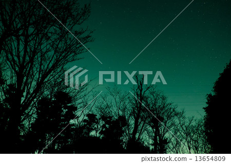 綠色的天空 綠色的天空 13654809