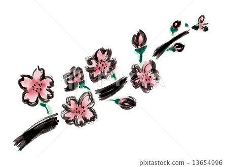 Cherry Blossoms Cherry Blossoms 13654996