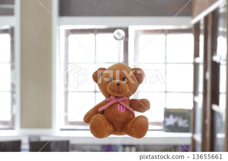 Teddy bear Teddy bear 13655661