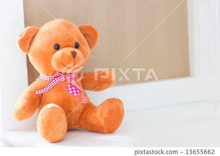 Teddy bear Teddy bear 13655662