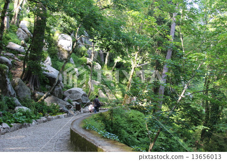 hill road, sloping road, sintra 13656013