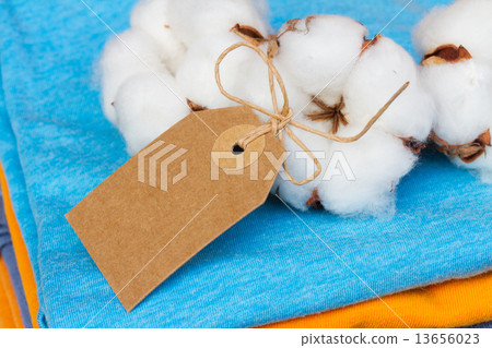 cotton clothes 13656023