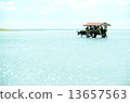 Water buffalo car of Yufu Island 13657563