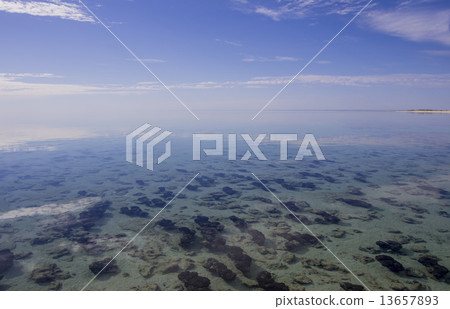 Shark Bay (Australia) 13657893