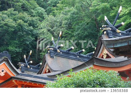 Kumano Nachi Shrine · Roof of the main hall (Nachikatsura-cho, Higashimuro-gun, Wakayama Prefecture) 13658388